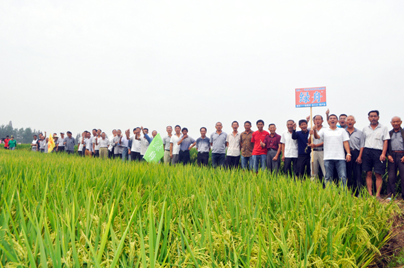 57d67d763bad4.jpg 57d67d763bad4.jpg