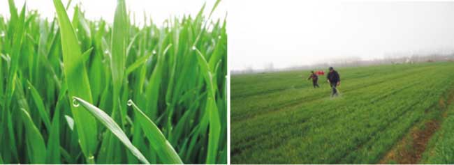 image001.jpg image001.jpg