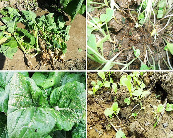 圖形1.jpg 圖形1.jpg