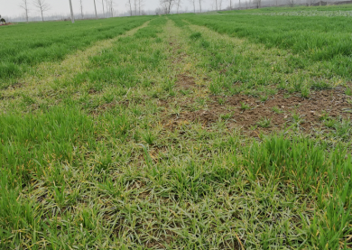 image001.png image001.png