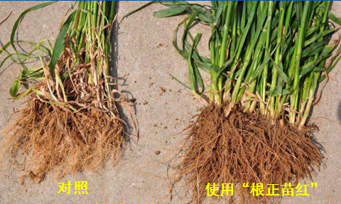 image003.png image003.png