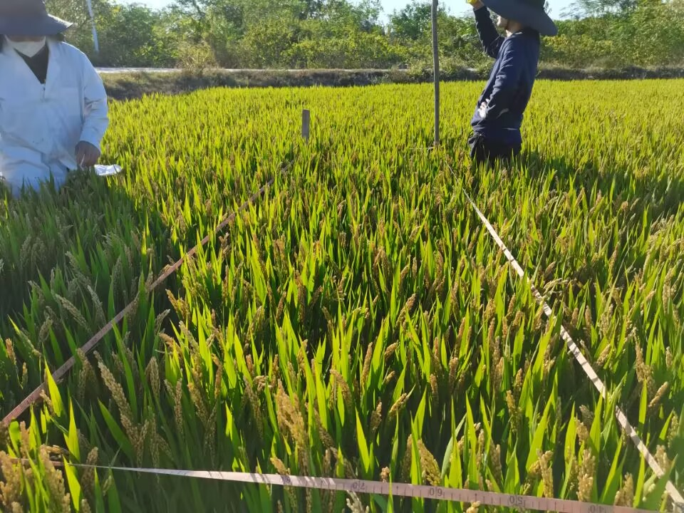 圖片1.png 圖片1.png